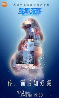 国产无限看,探索中国影视产业的无限可能